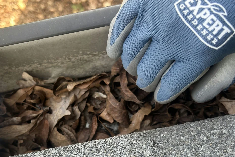 Gutter Cleaning Harrisburg