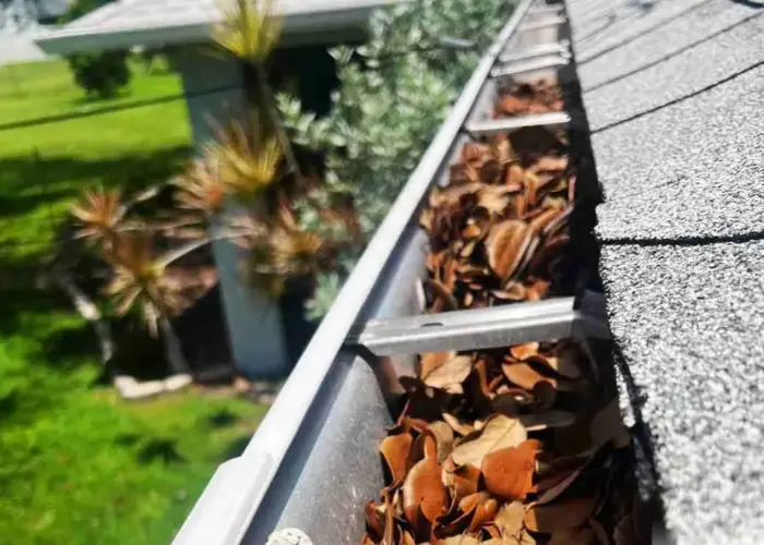 Gutter Cleaning Harrisburg home page